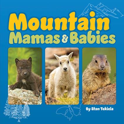 Mountain Mamas & Babies - Stan Tekiela - ebook