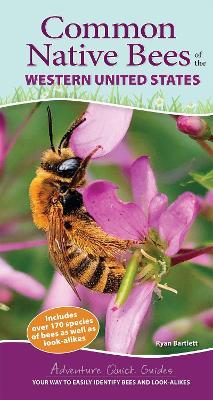 Common Native Bees of the Western United States: Your Way to Easily Identify Bees and Look-Alikes - Ryan Bartlett - cover