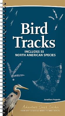 Bird Tracks: Easily Identify 55 Common North American Species - Jonathan Poppele - cover