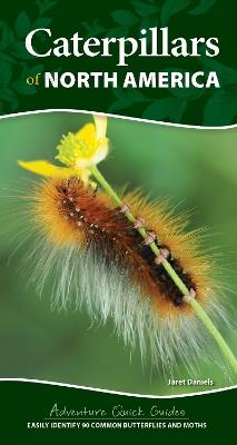 Caterpillars of North America: Easily Identify 90 Common Butterflies and Moths - Jaret C. Daniels - cover