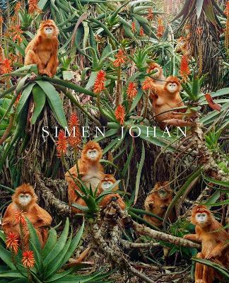 Simen Johan - Simen Johan - cover