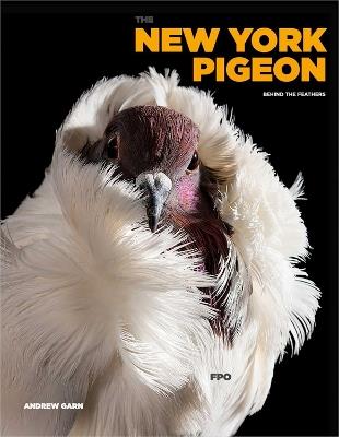 The New York Pigeon - Andrew Garn - cover