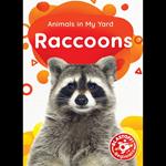 Raccoons