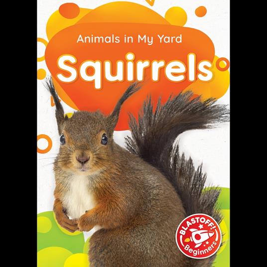 Squirrels