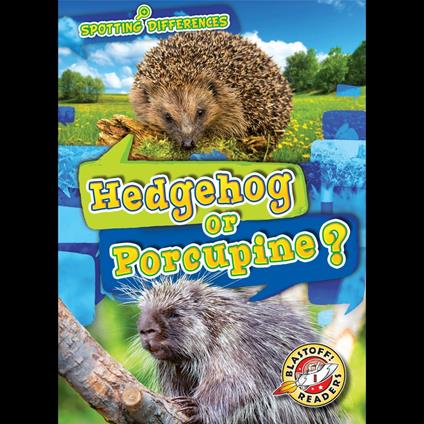 Hedgehog or Porcupine?