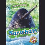 Narwhals