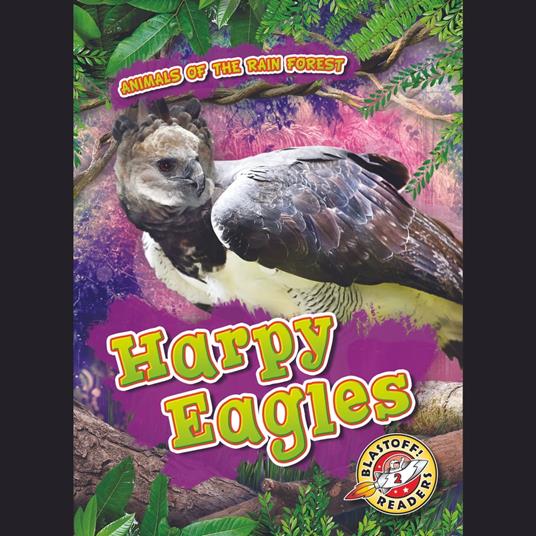 Harpy Eagles