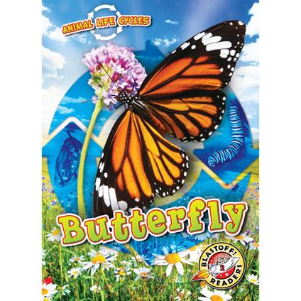 Animal Life Cycles: Butterfly