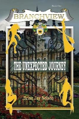 Branchview: The Unexpected Journey - Brian Jay Nelson - cover