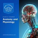 Anatomy and Physiology Audio Course