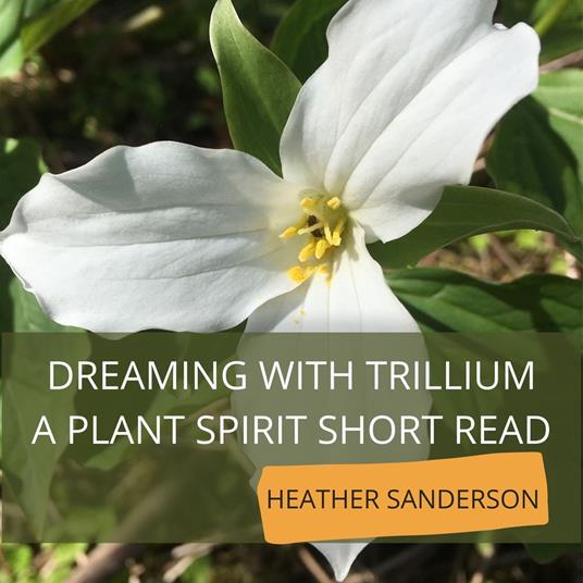 Dreaming with Trillium