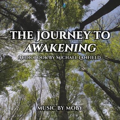 Journey to Awakening, The