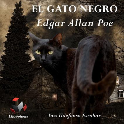 EL GATO NEGRO