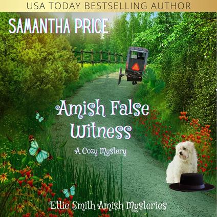 Amish False Witness