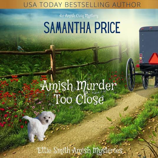 Amish Murder Too Close