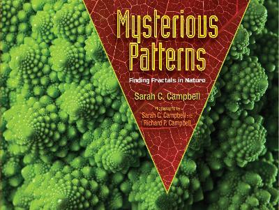 Mysterious Patterns: Finding Fractals in Nature - Sarah C. Campbell - cover