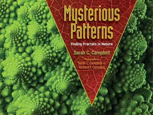 Mysterious Patterns - Sarah C. Campbell,Richard P. Campbell - ebook