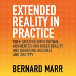 Extended Reality in Practice