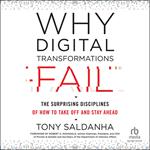 Why Digital Transformations Fail