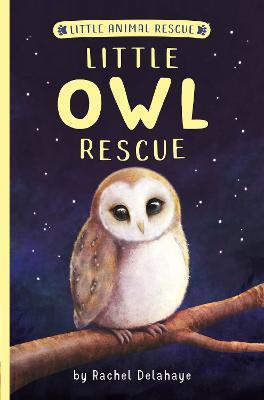 Little Owl Rescue - Rachel Delahaye - cover