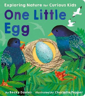 One Little Egg: Exploring Nature for Curious Kids - Becky Davies - cover