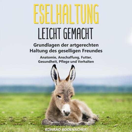 Eselhaltung leicht gemacht