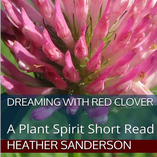 Dreaming with Red Clover