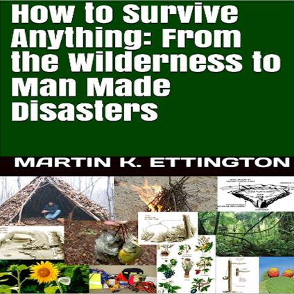 How to Survive Anything From the Wilderness to Man Made Disasters