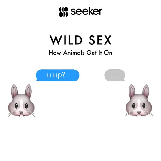 Wild Sex