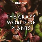 Crazy World of Plants, The