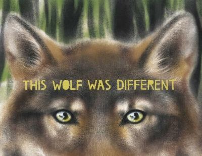 This Wolf Was Different - Katie Slivensky - cover