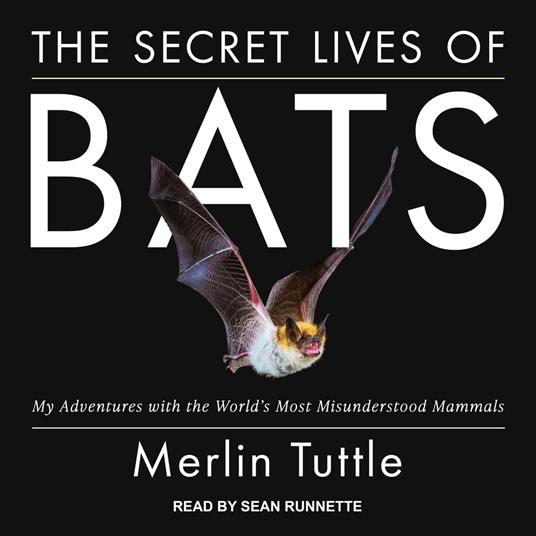 The Secret Lives of Bats