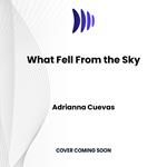 What Fell From the Sky