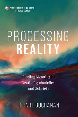 Processing Reality - John H Buchanan - cover