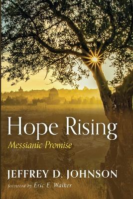 Hope Rising - Jeffrey D Johnson - cover