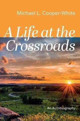 A Life at the Crossroads: An Autobiography - Michael L Cooper-White - cover