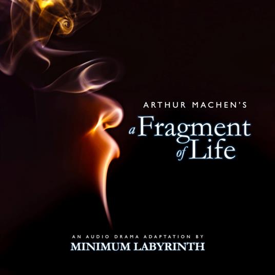 Fragment of Life, A