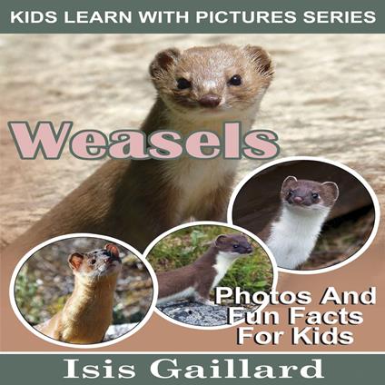 Weasels