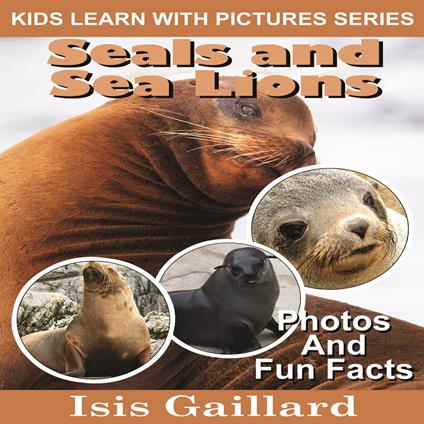 Seals and Sea Lions