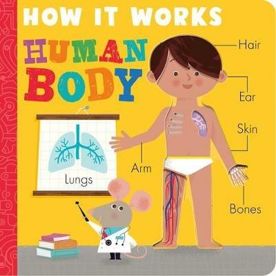 How it Works: Human Body - Amelia Hepworth - cover
