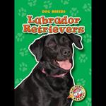 Labrador Retrievers