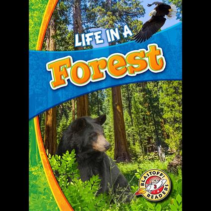 Life in a Forest