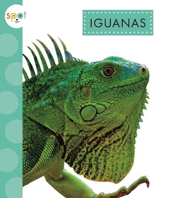 Iguanas - Alissa Thielges - cover