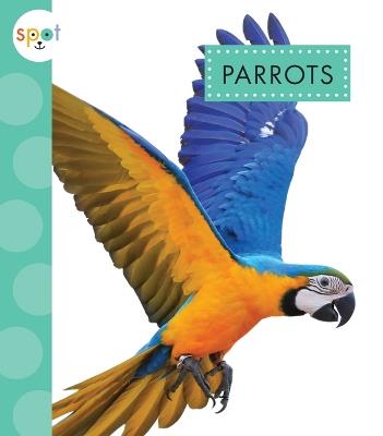 Parrots - Alissa Thielges - cover