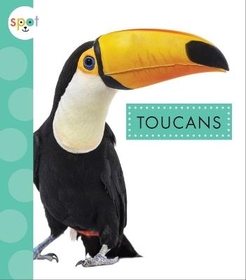 Toucans - Alissa Thielges - cover