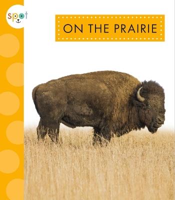 On the Prairie - Alissa Thielges - cover