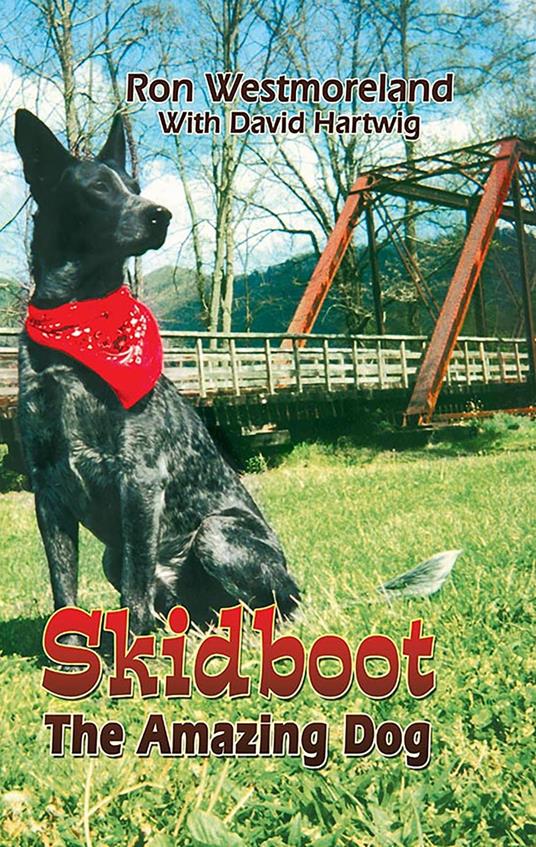 Skidboot