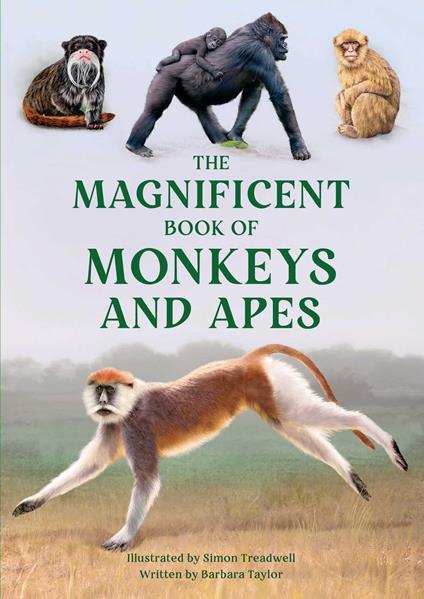 The Magnificent Book of Monkeys and Apes - Barbara Taylor,Simon Treadwell - ebook