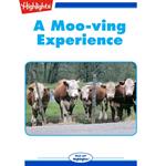 Moo-ving Experience, A