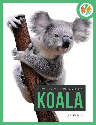 Spotlight on Nature: Koala - Gah - cover